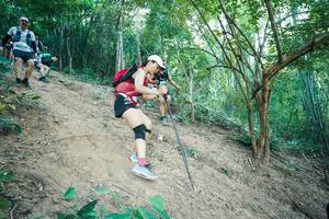 BIB: 
                            <button type="button" onclick="openModal(28160448)" class="btn btn-primary btn-sm float-right btn-popup" data-toggle="modal" data-target=".modal-high-quality">
                        <i class="fas fa-shopping-cart"></i> Add to Cart
                    </button>
                                            <button type="button" onclick="isThisMe(28160448, true)" class="btn btn-success btn-sm float-right btn-popup btn-isme hidden" data-toggle="tooltip" data-placement="bottom" title="นี่คือรูปของคุณใช่ไหม คลิกที่นี่เพื่อเอาเข้าอัลบั้ม">
                        <i class="fas fa-plus"></i> Add to album
                    </button>
                    <button type="button" onclick="isThisMe(28160448, false)" class="btn btn-warning btn-sm float-right btn-popup btn-isnotme hidden">
                        <i class="fas fa-ban"></i> Remove from album
                    </button>